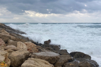 حالة الطقس: بارد وغائم مع بدء فصل الربيع